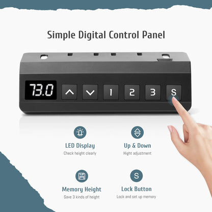Electric Standing Desk with Double Drawer - 40 X 24 Inch Adjustable Height Sit to Stand up Desk with Storage Shelf, Rising Home Office Computer Table, Oak